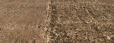 New stubble cultivator Chisel Rapid stubble ploughing soil preparation